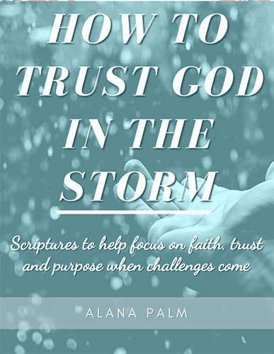 How to Trust God in the Storm